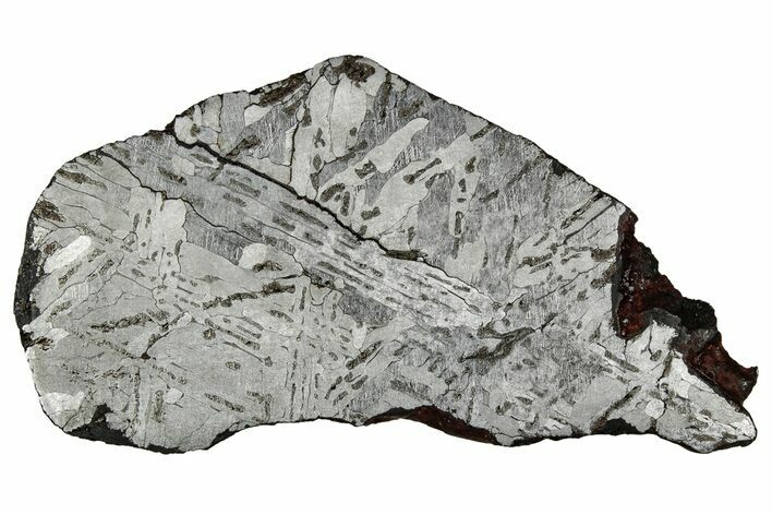 Etched Canyon Diablo Meteorite Slice ( g) - Arizona #356063